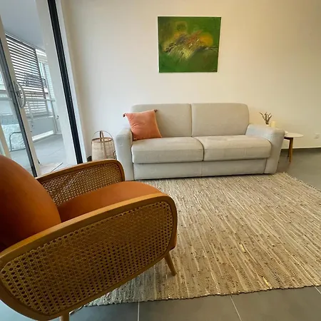 Cannes, Avec Parking+terrasse, Croisette A Pied! Apartment Cannes